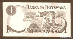 Именные акции