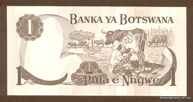 Именные акции